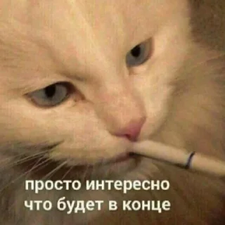 Стикер Больше стикеров 👉🏻 @stickertg4 - 11