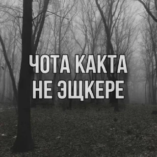 Стикер Больше стикеров 👉🏻 @stickertg4 - 1