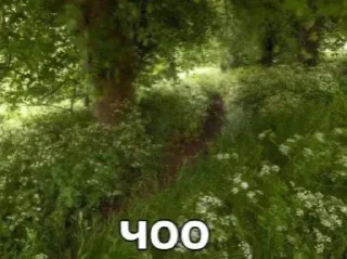 Стикер Больше стикеров 👉🏻 @stickertg4 - 5