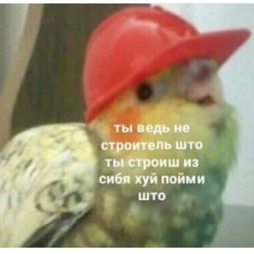 Стикер b_p_1 - 1