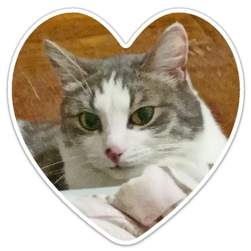 Sticker Кекс - 5