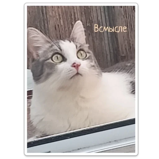 Sticker Кекс - 4