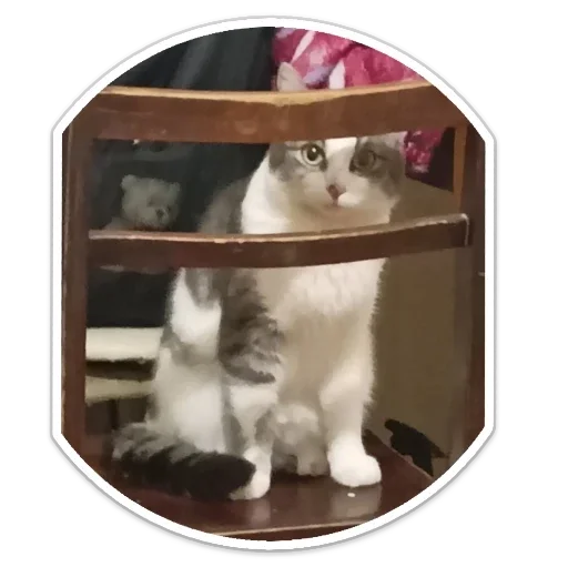 Sticker Кекс - 2