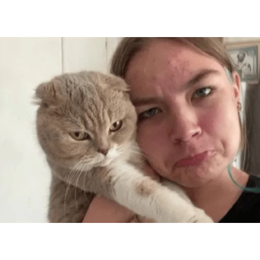 Sticker baaaandiit - 1