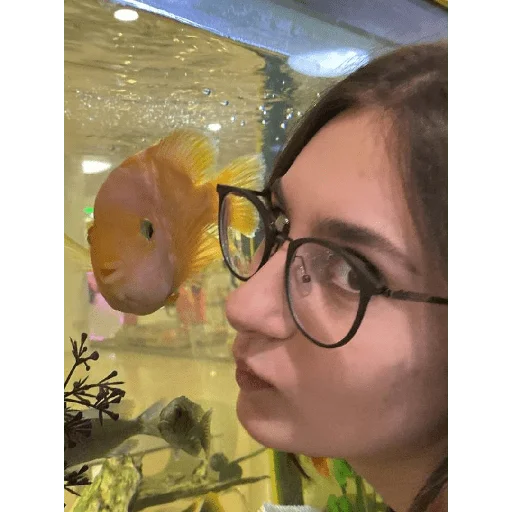 Sticker baaaandiit - 1