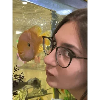 Sticker бандиты - 6