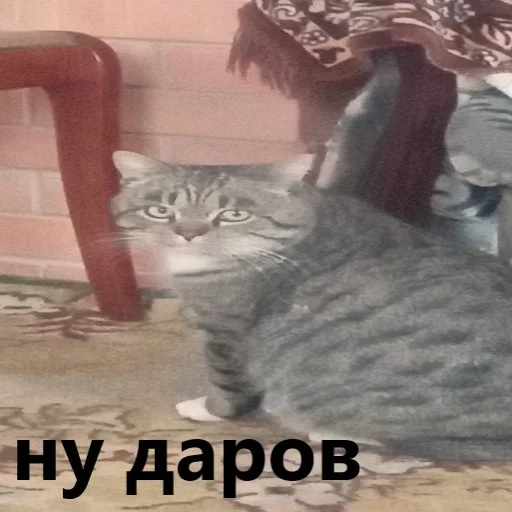 Sticker bababass - 1