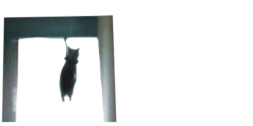 x-ray film black screenshot