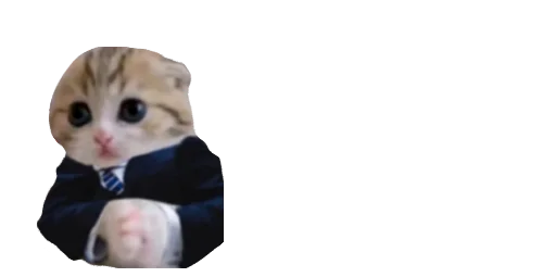 млекопитающее животное игрушка