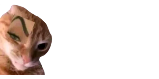 кошки малого и среднего размера домашняя кошка кошачьи