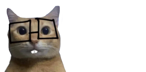 кошки малого и среднего размера домашняя кошка кошка