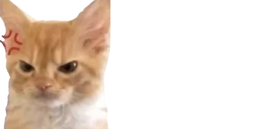 животное млекопитающее кошка