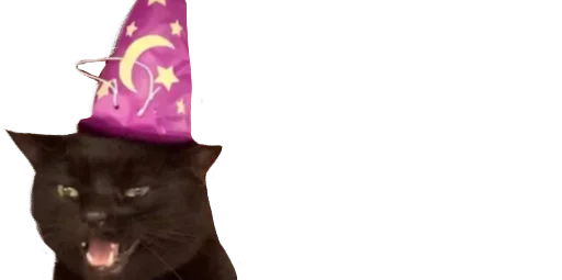 кошки малого и среднего размера чёрная кошка усы