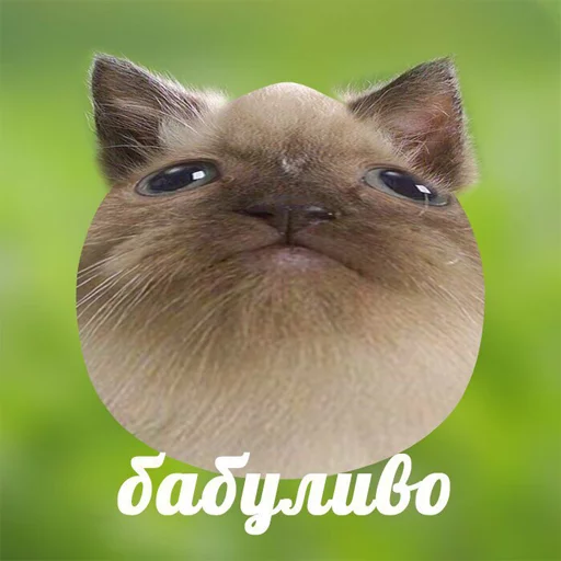 Стикер babulehtop - 1