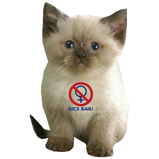 Стикер babulehtop - 1