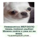 Стикер Бабулех-пак (by @muqksir) - 2