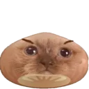 Стикер Бабулех-пак (by @muqksir) - 0