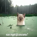 Стикер Бабулех-пак (by @muqksir) - 11