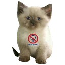 Стикер Бабулех-пак (by @muqksir) - 8