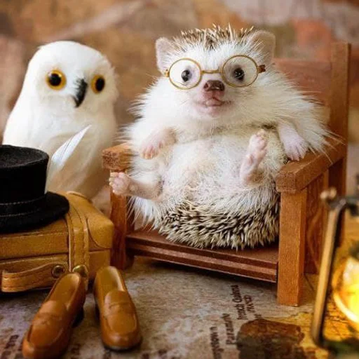 Sticker hedgehogs - 10