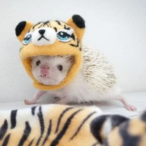 Sticker hedgehogs - 7