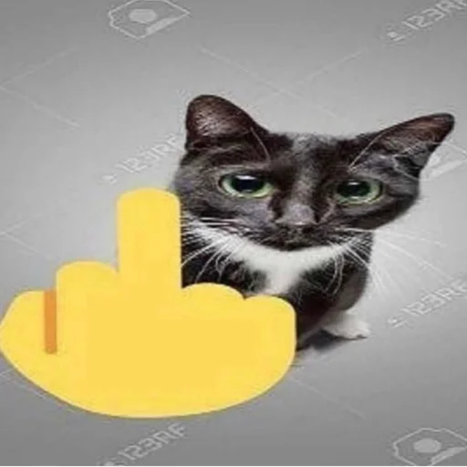 КиберБабулинг//vinxll - 