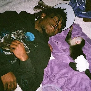 Стикер lil uzi veeeeeert @xarteffer - 4