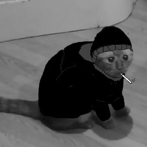 человеческое лицо ребёнок этаж