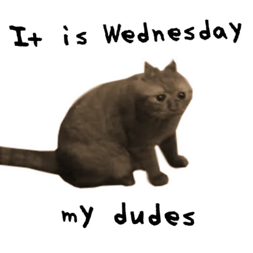 СМС животное кошки малого и среднего размера