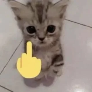 Sticker @badasscats - 6