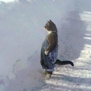 Sticker @badasscats - 8