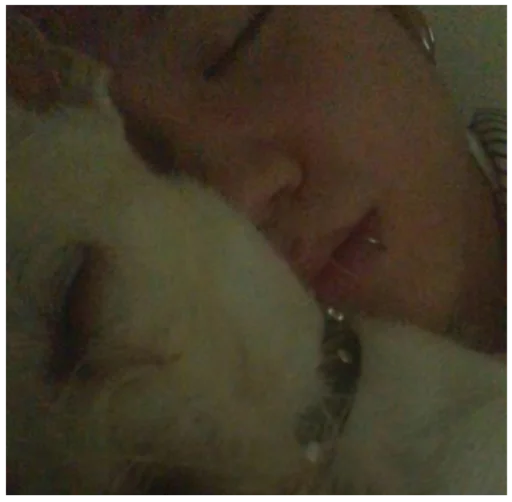 Стикер блушка - 3