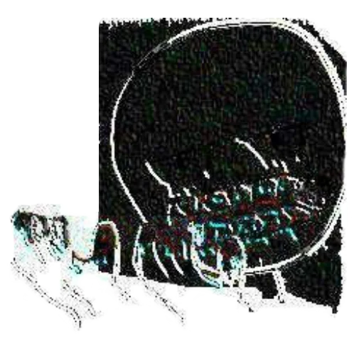 text drawing graphics