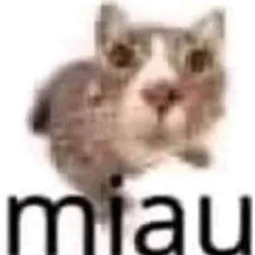 Sticker badyunya_pinpack - 1