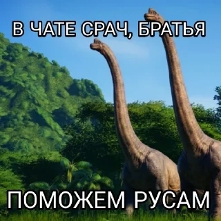 Sticker База по Багирову - 1