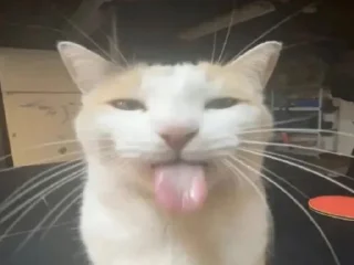 Sticker куличи баклажаны @TgEmodziBot - 9