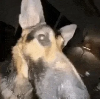 Sticker куличи баклажаны @TgEmodziBot - 5