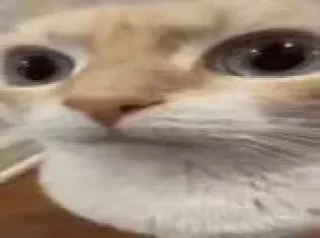 Sticker куличи баклажаны @TgEmodziBot - 3