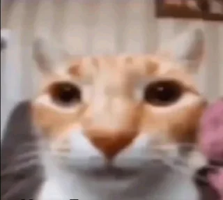 Sticker куличи баклажаны @TgEmodziBot - 0