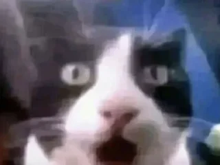 Sticker куличи баклажаны @TgEmodziBot - 4