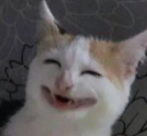 baktibekova_m by @fStikBot - 