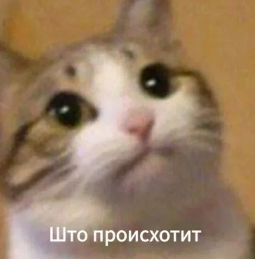 Sticker baktibekova_m by @fStikBot - 9