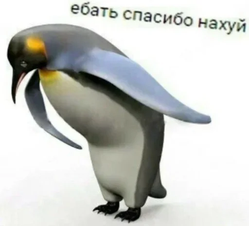 Sticker baktibekova_m by @fStikBot - 7