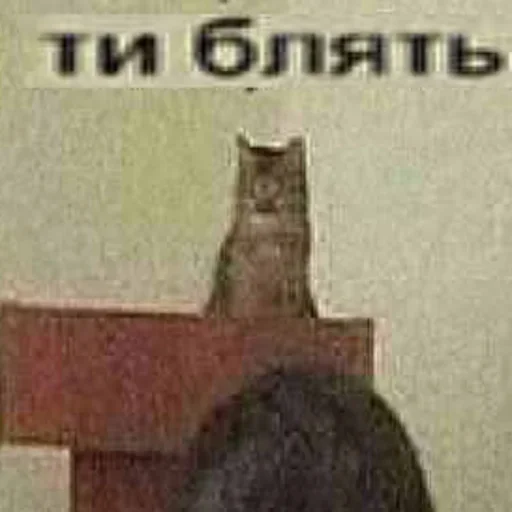 text domestic cat small to medium-sized cats