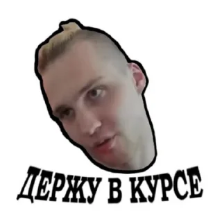 Стикер гошан - 8