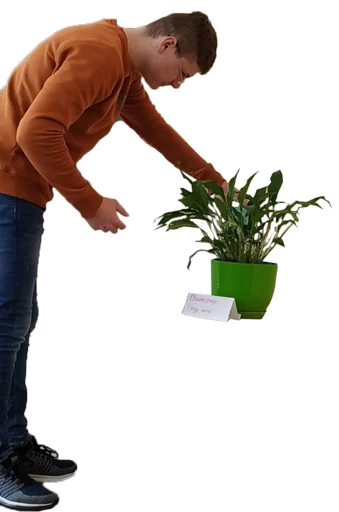 flowerpot houseplant person