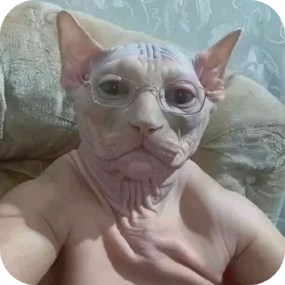 Стикер бамбалейло - 1