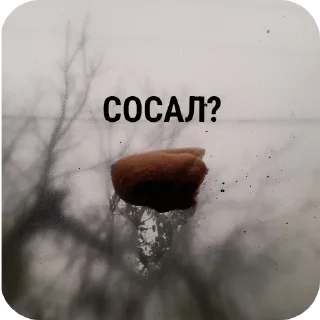 Стикер бамбалейло - 3