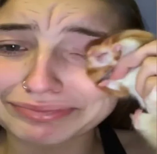 person indoor human face