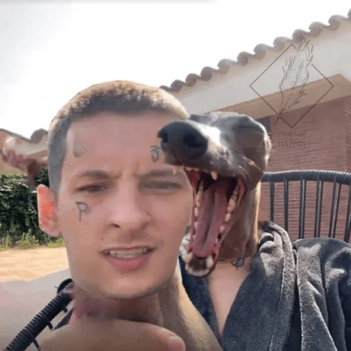 Sticker bandabers1 - 1